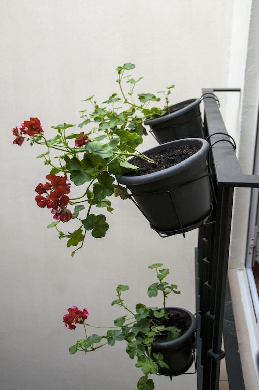 סביליה Hostal Callejon Del Agua מראה חיצוני תמונה